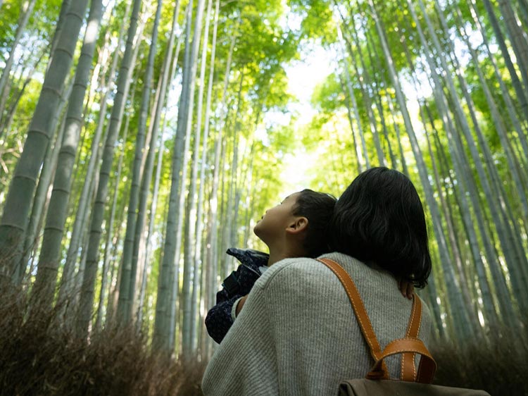 Two travellers enjoy bright sunshine while walking in the woods surrounded by tall trees.