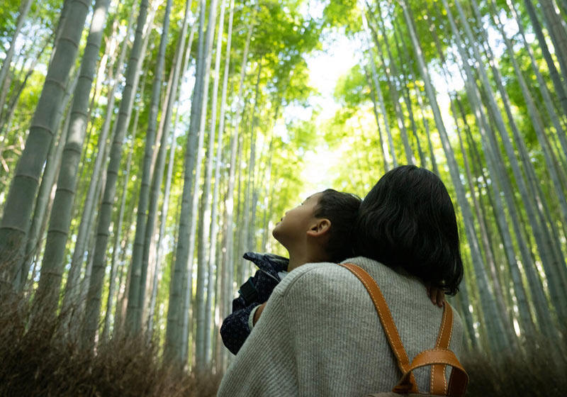 Two travellers enjoy bright sunshine while walking in the woods surrounded by tall trees. 