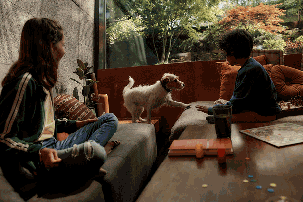 Learn how to easily filter for pet-friendly vacation homes.