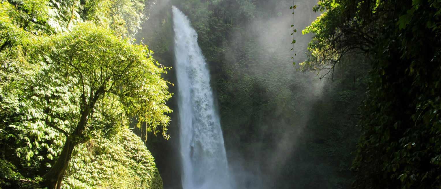 A tall waterfall cascades through lush, green jungle foliage, mist rising into the air around it.