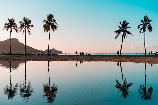 Save even more with flight and hotel bundles.