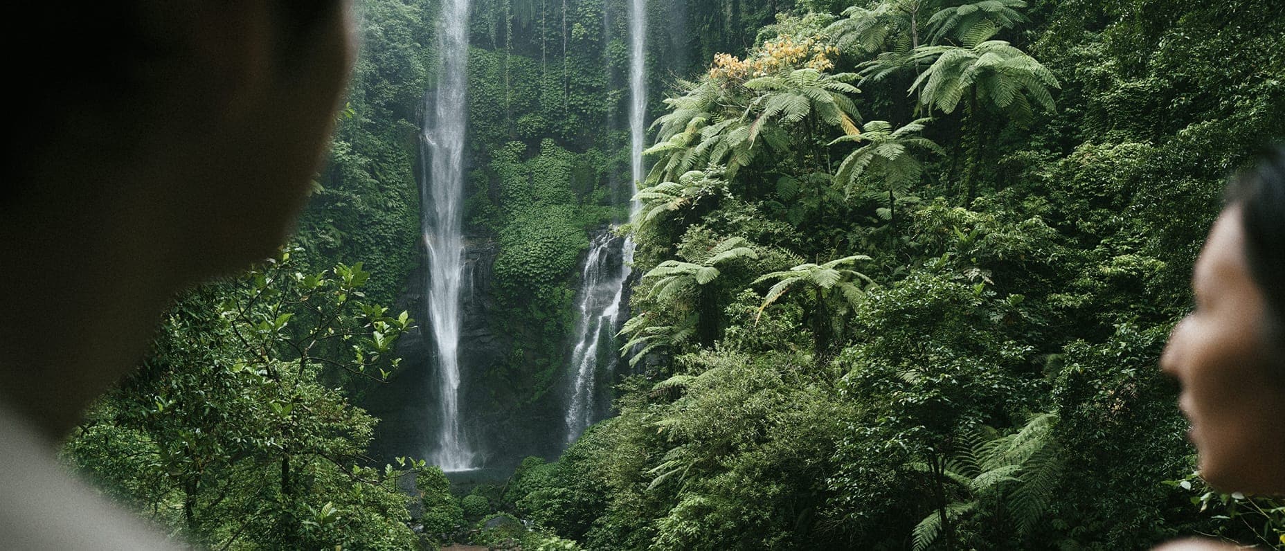 Waterfalls cascade down in the middle of a rainforest.