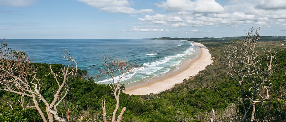 Sandy path to a beach, bordered by wooden posts and wire fencing, with gumtrees overhead. Ocean, swimmers, and a yellow lifeguard stand are visible in the background.