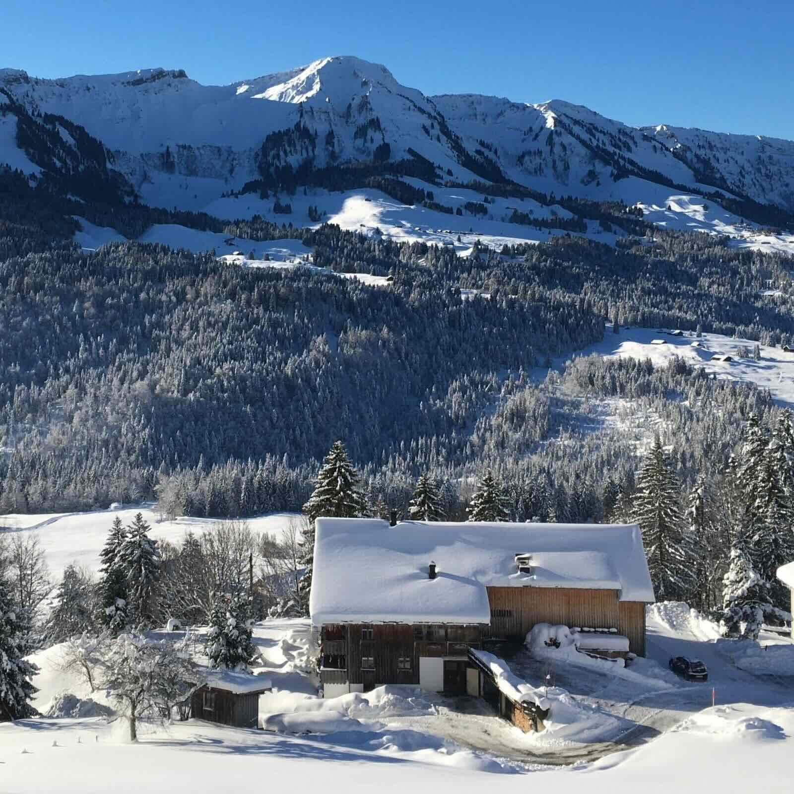 Gemütliches alpines Chalet als Ferienunterkunft, eingebettet in ein verschneites Tal mit weitem Blick auf die Berge und mit Raureif überzogenen Kiefern an einem klaren Wintertag
