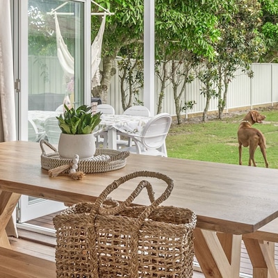 Book a pet-friendly stay