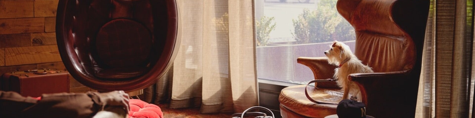 Default HTG hotel image