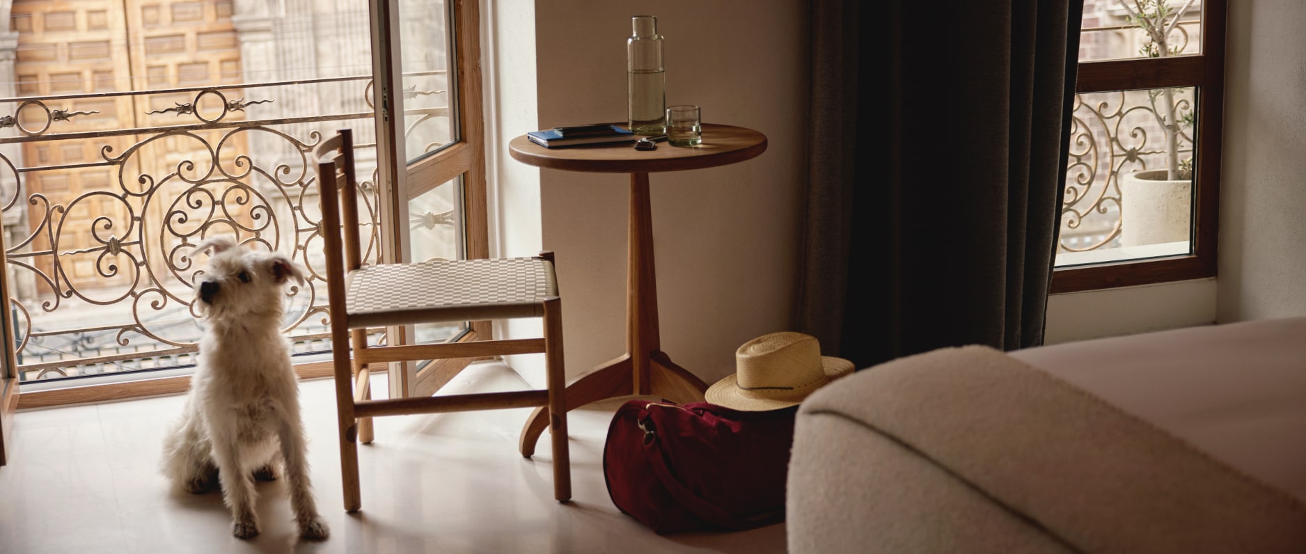 Discover pet-friendly hotels.