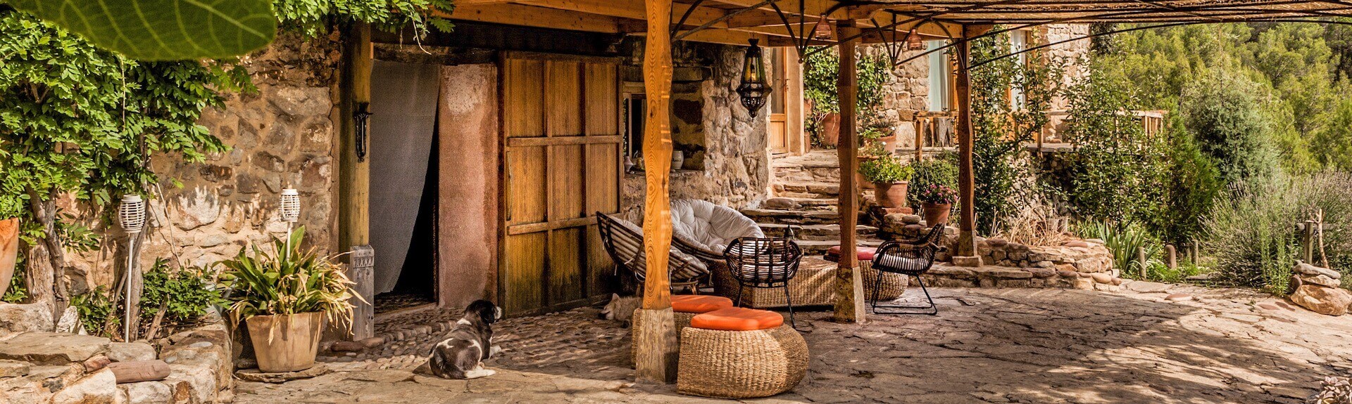 PetFriendly Rentals Discover TopQuality PetFriendly Vacation Homes