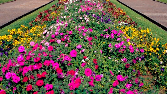 Buffalo and Erie County Botanical Gardens