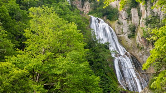 Summer in Hokkaido, Japan