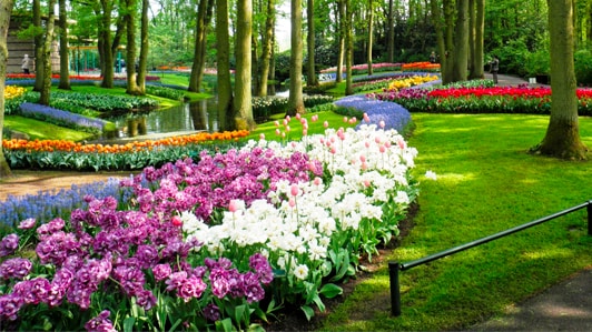 Keukenhof