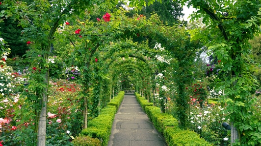 The Butchart Gardens