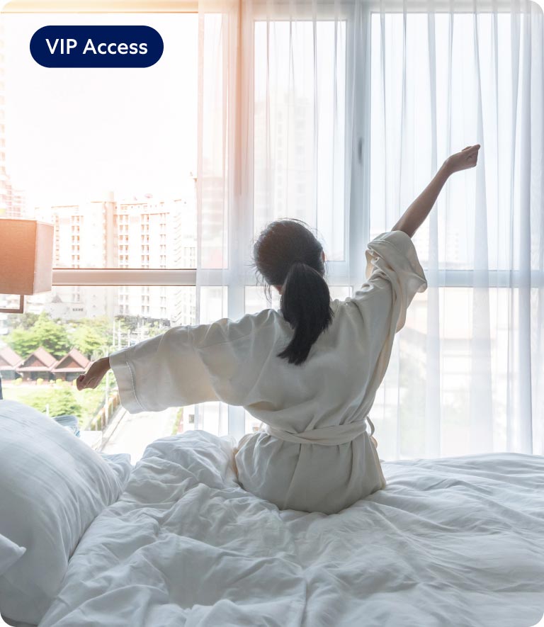  VIP Access
