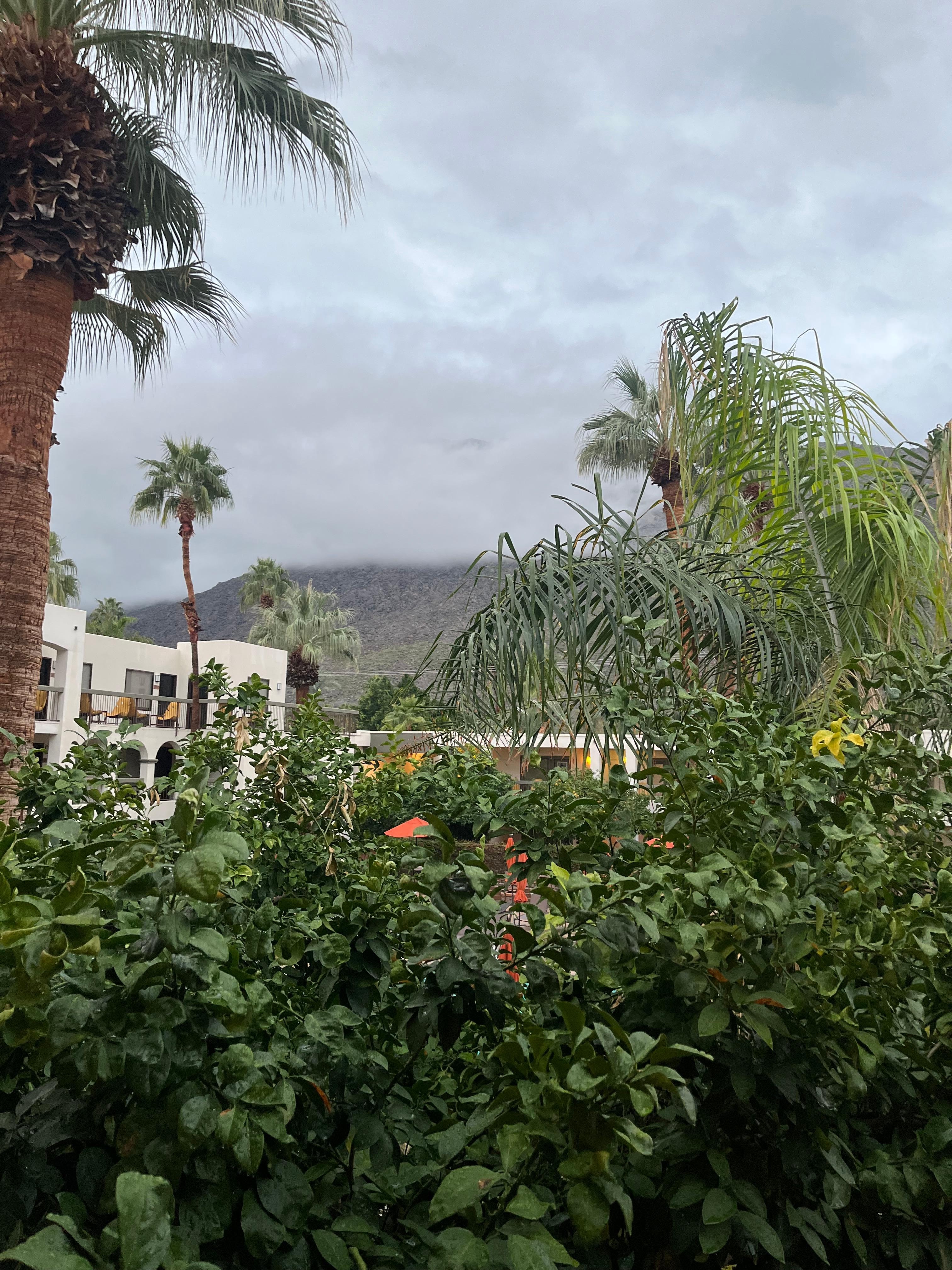 View from our balcony 