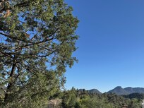 View from the deck