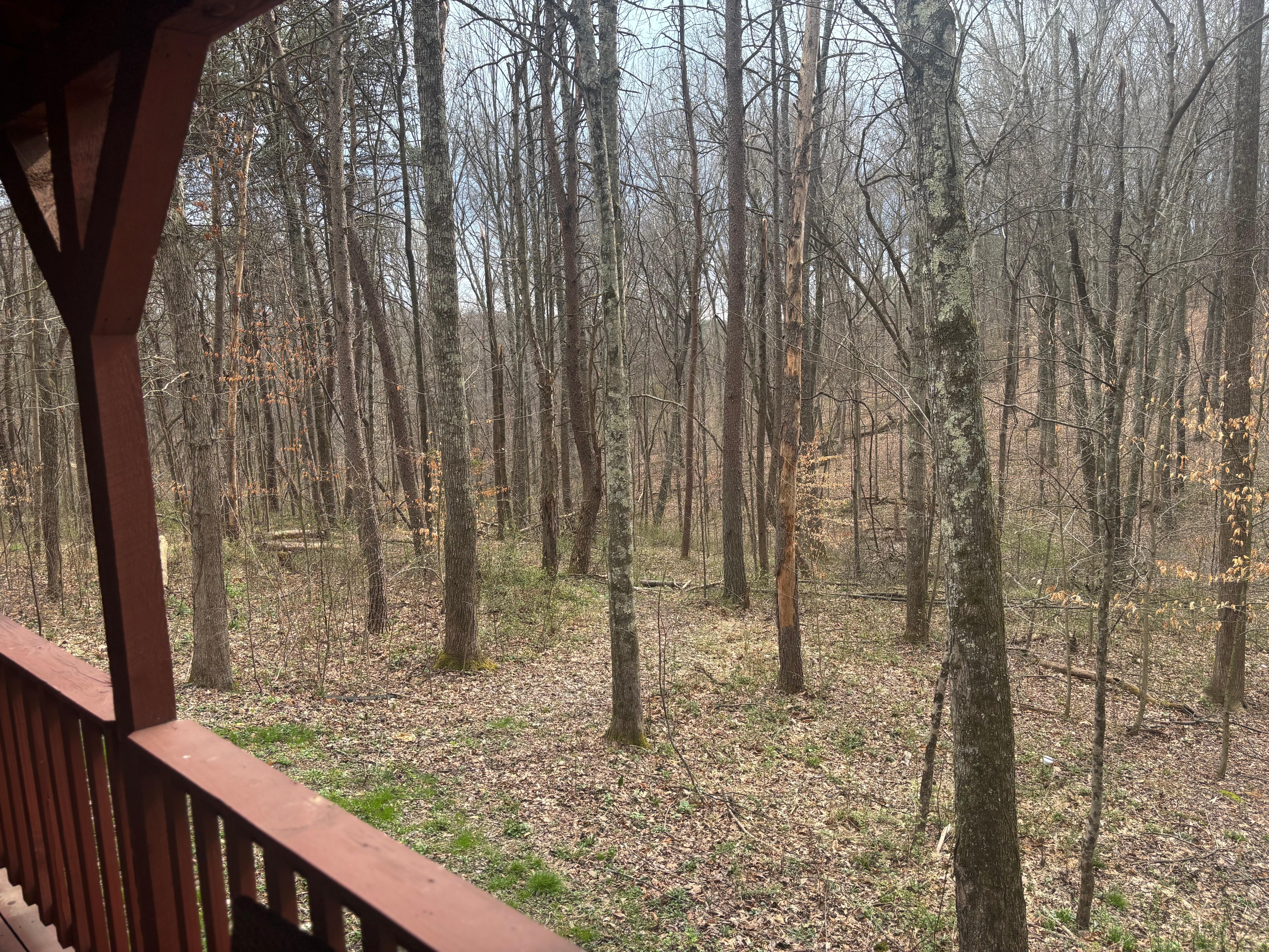 The porch was great for bird watching in the morning! 
