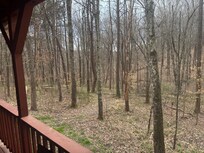 The porch was great for bird watching in the morning!