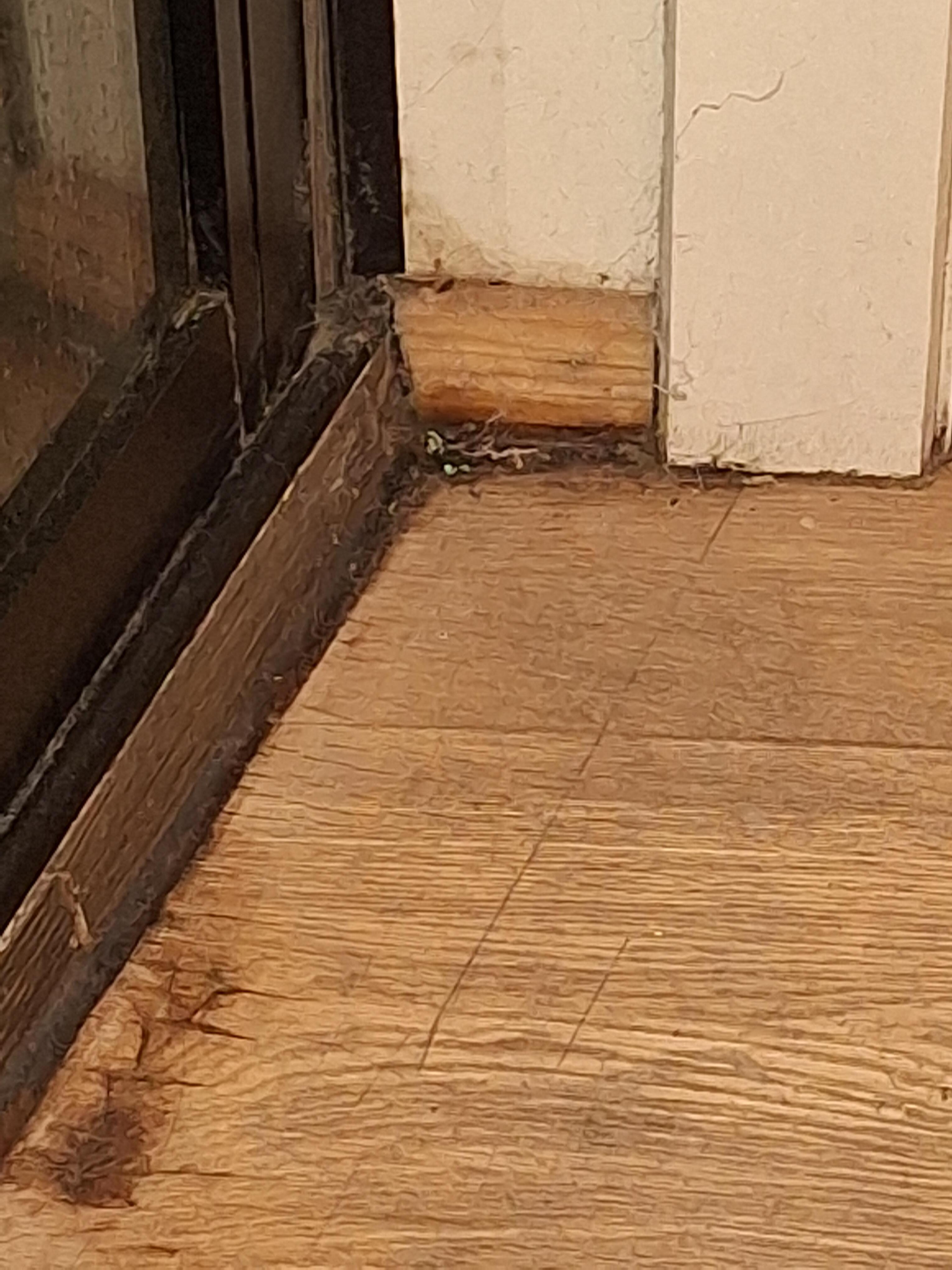 Au niveau de la douche