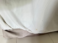 The stain