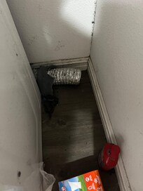 Dryer vent not hooked up. Nasty lint everywhere.