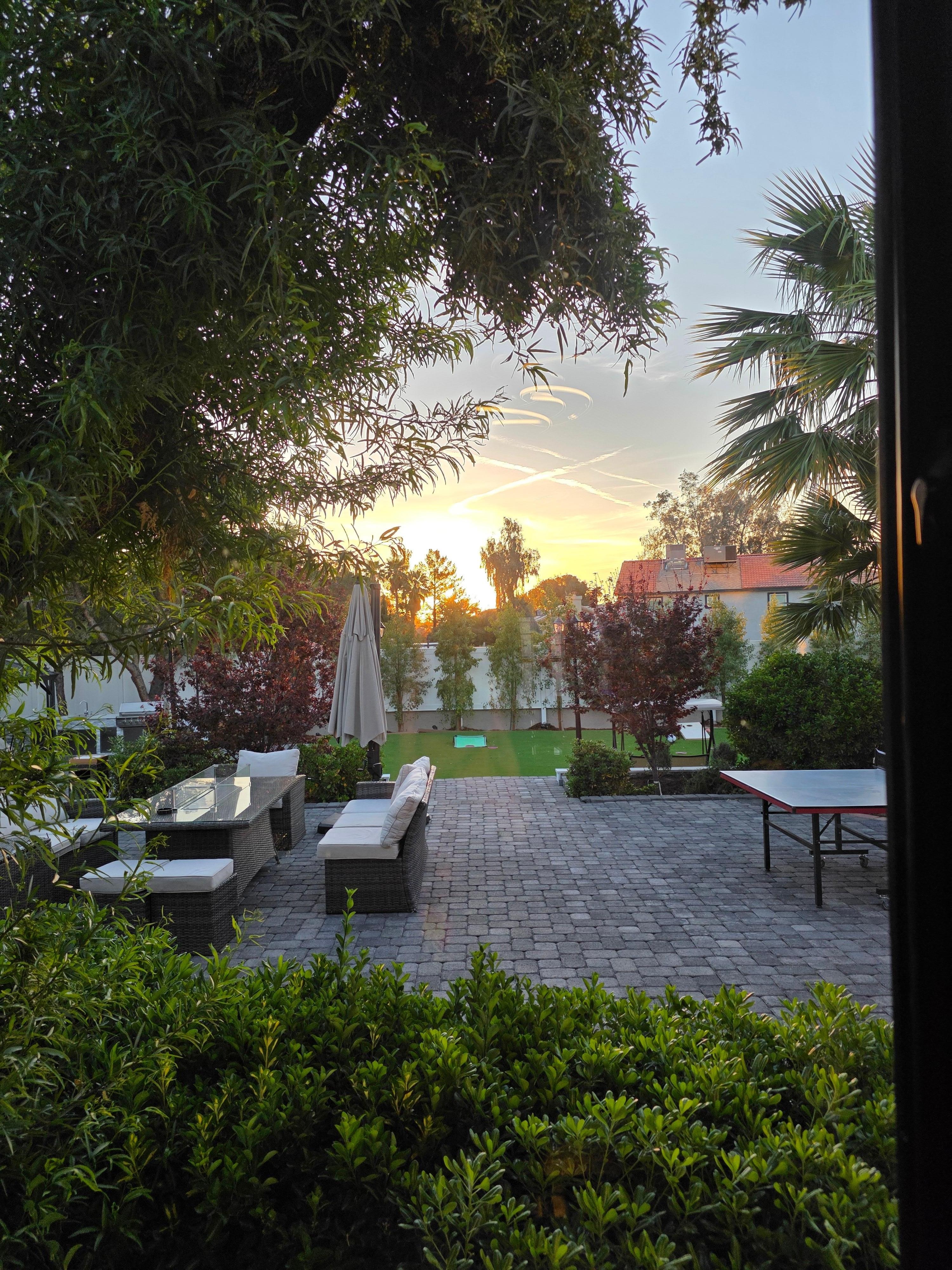 View from kitchen window in the morning. 