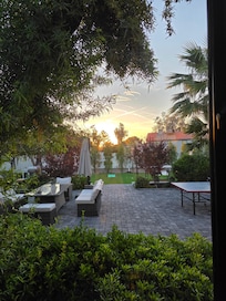 View from kitchen window in the morning.