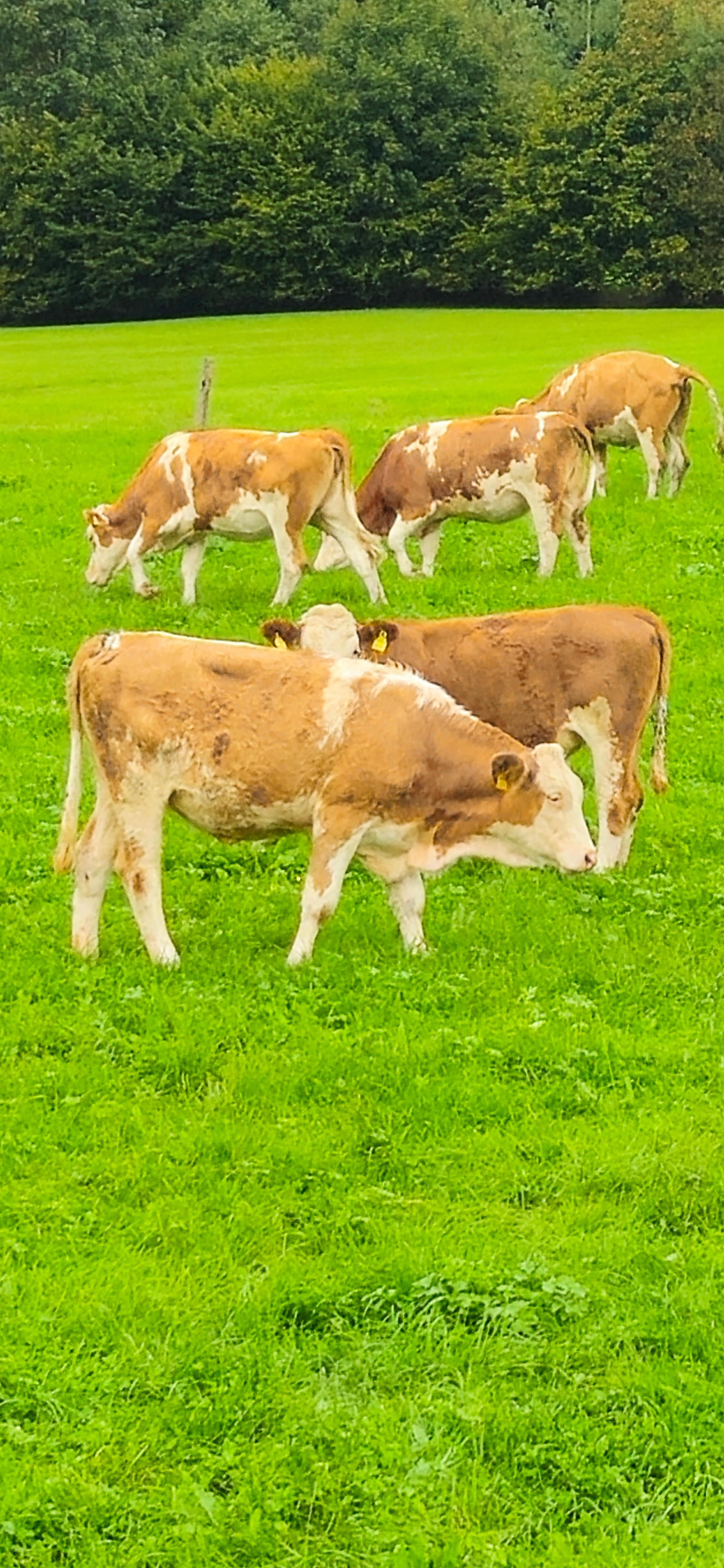 Blick aus dem Fenster 