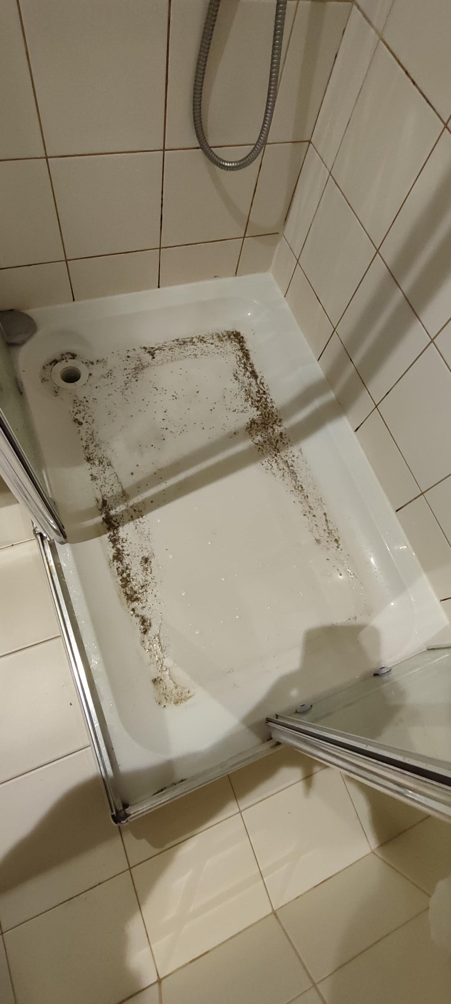 Voilà ce qui en est sortie.
Ce ne sont pas nos cheveux.
Et ce n'est pas parce que je ne parle pas anglais.