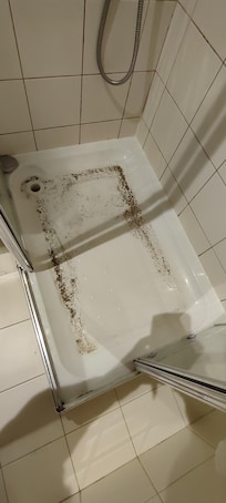 VoilĂ ce qui en est sortie.
Ce ne sont pas nos cheveux.
Et ce n'est pas parce que je ne parle pas anglais.