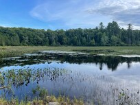 Quiet Bay