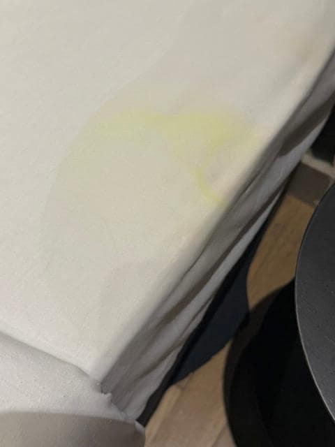 Urine stains on bed sheets upon check in