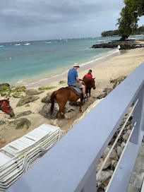 The beach