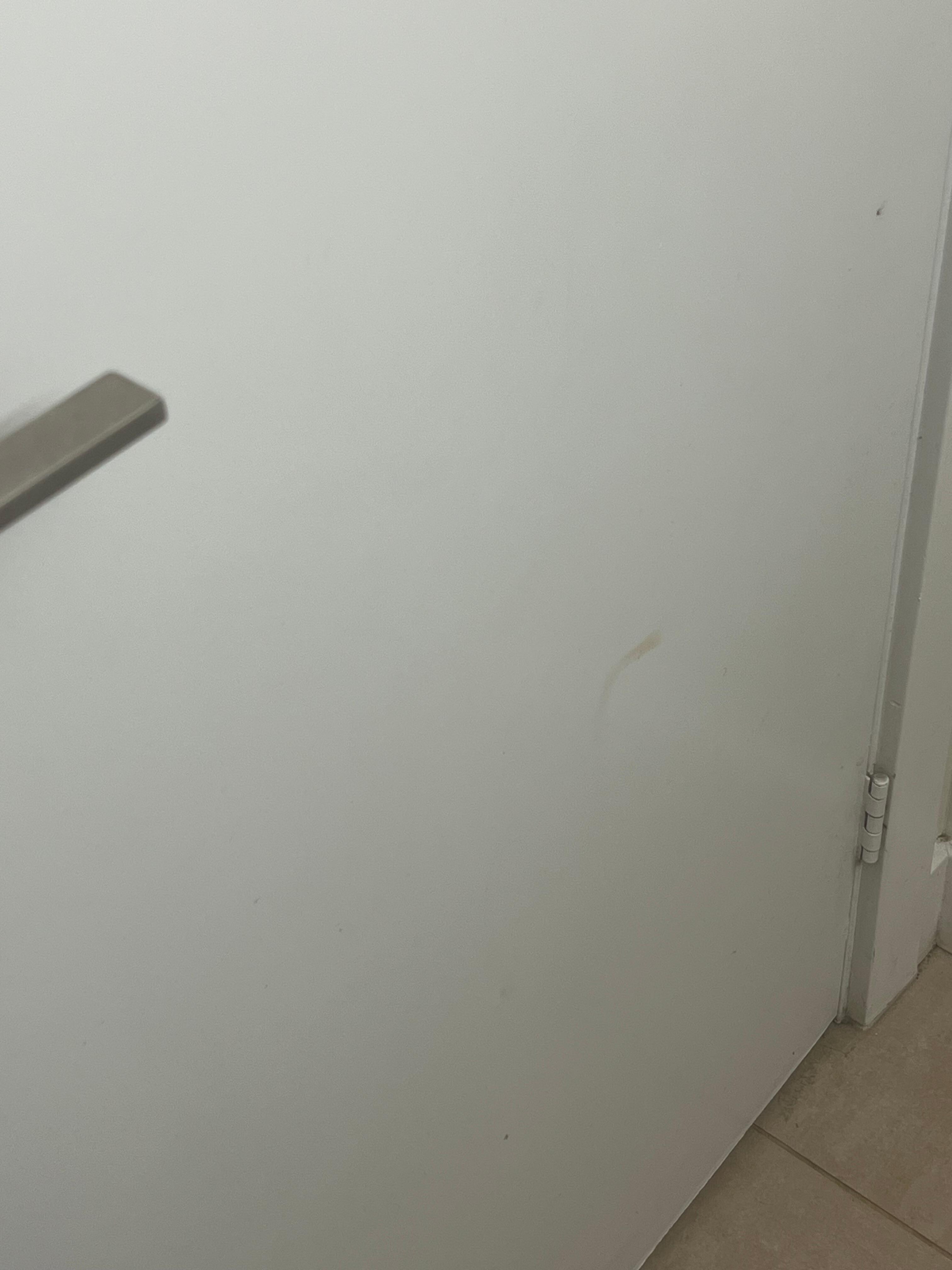 Faded dirty hand print on the back of bathroom door