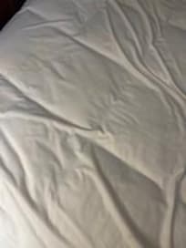 matress