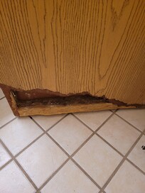 Bathroom door
