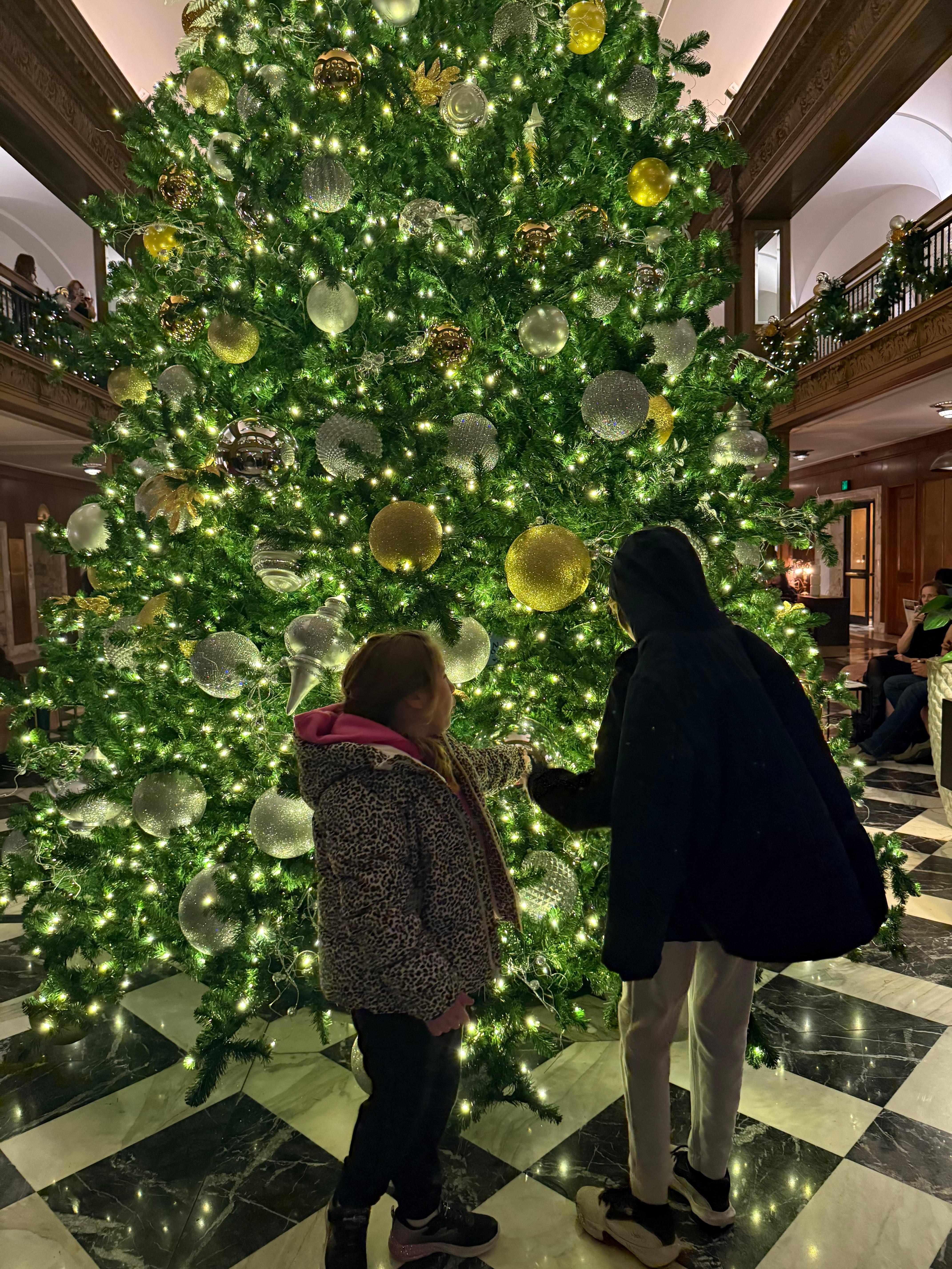 Giant Tree in Lobby, great photo op! 