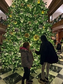 Giant Tree in Lobby, great photo op!