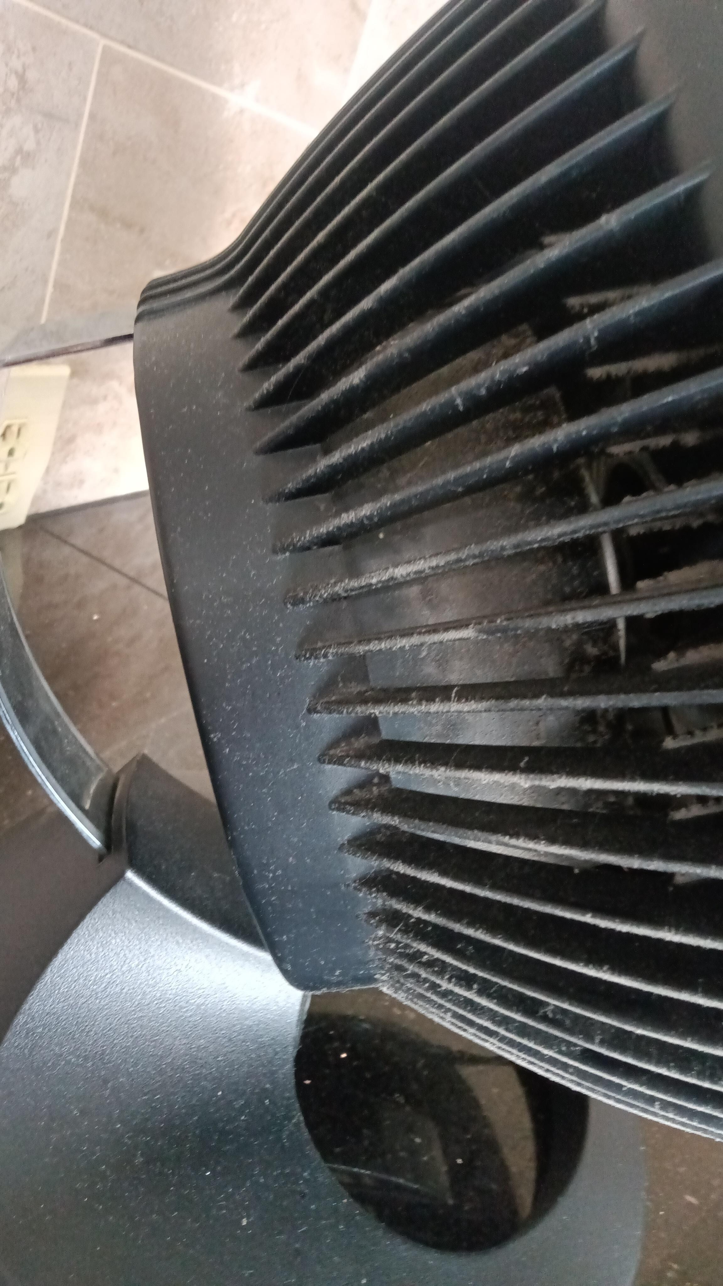 Black mold can harbor tuberculosis spores this is not been cleaned in quite some time