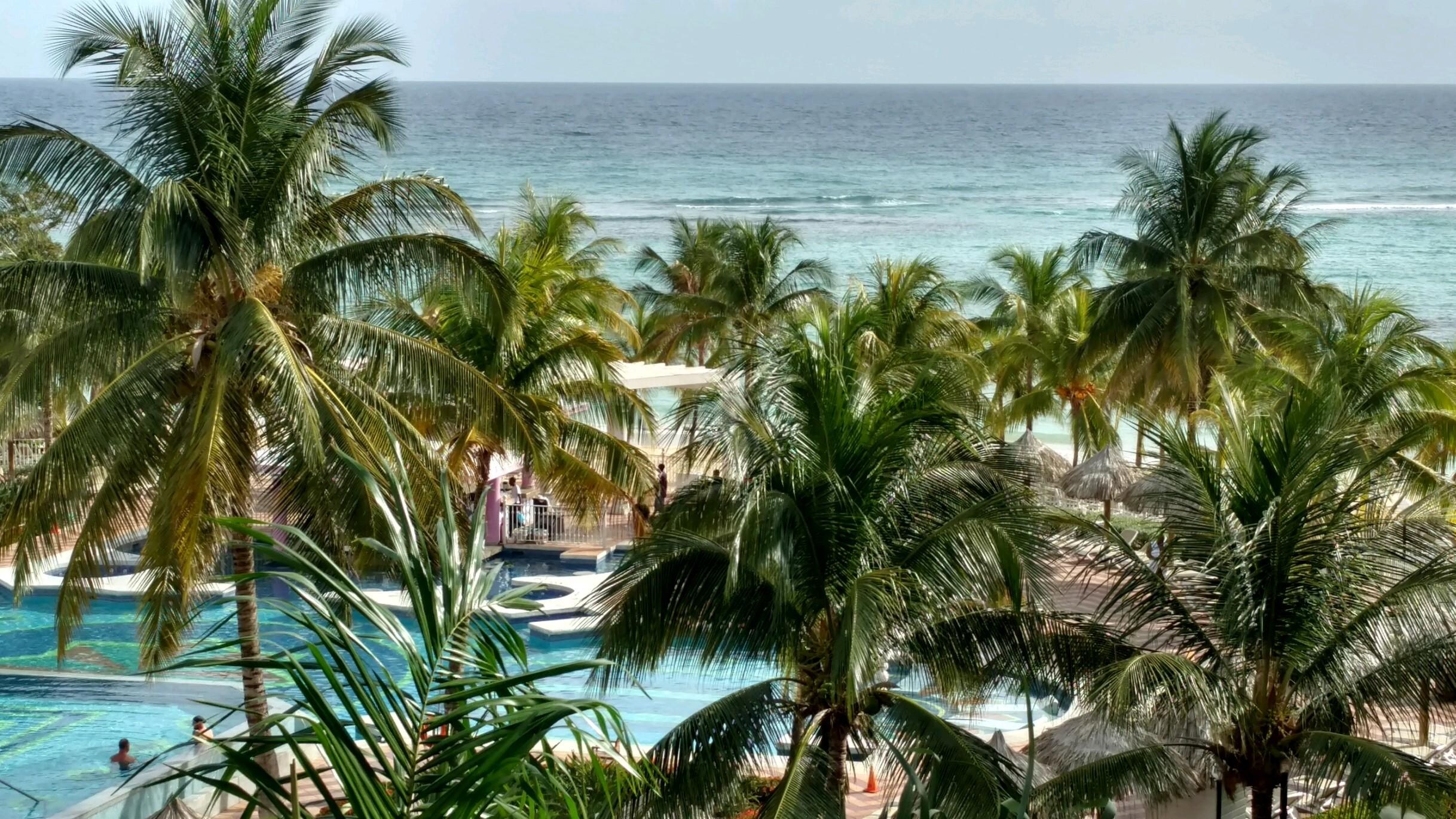 room view