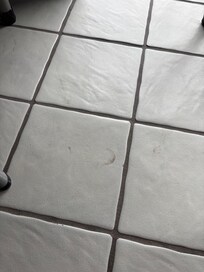 The dirty floor pics were just to prove that there was no way they could have mopped.