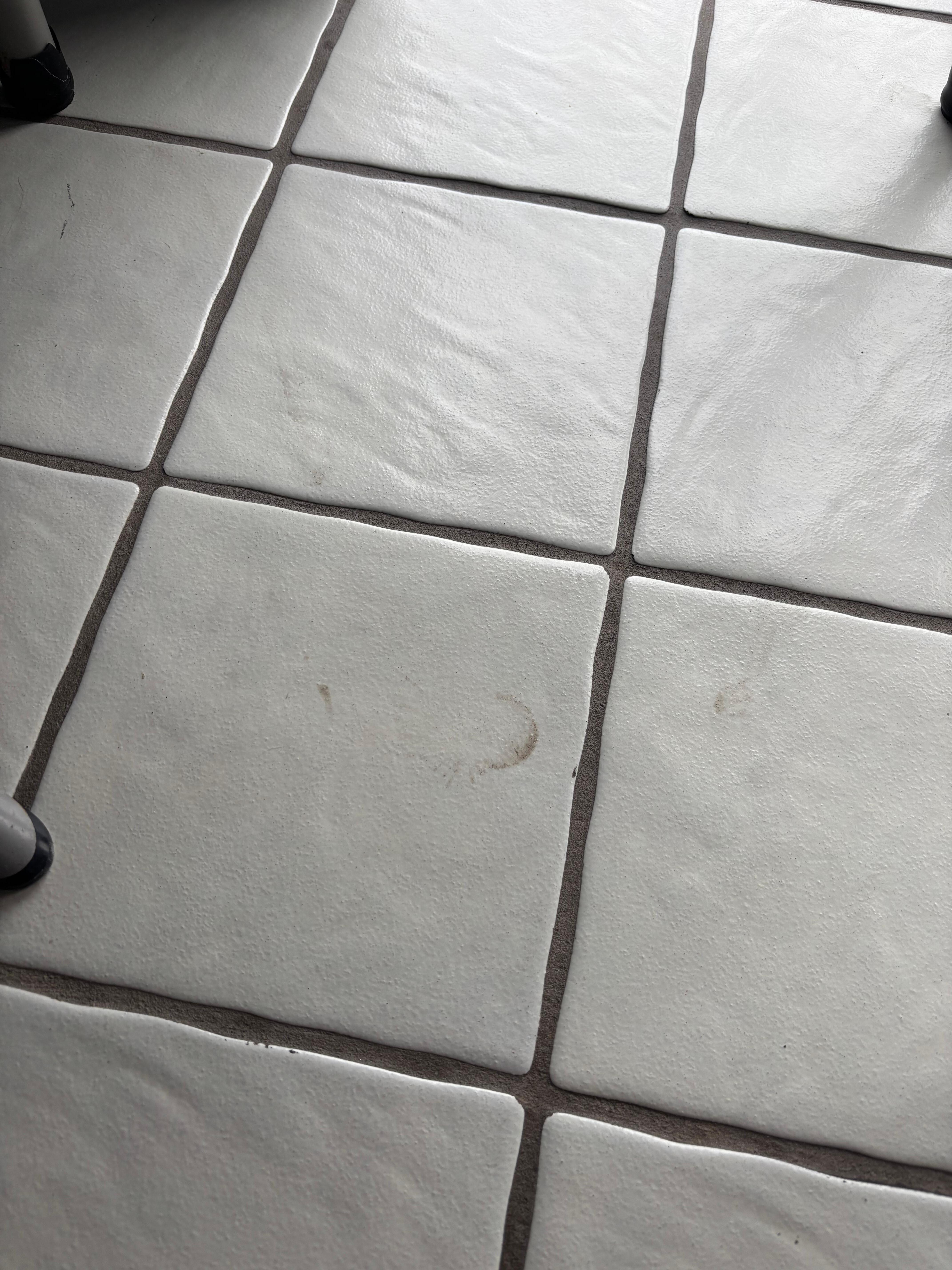 The dirty floor pics were just to prove that there was no way they could have mopped.