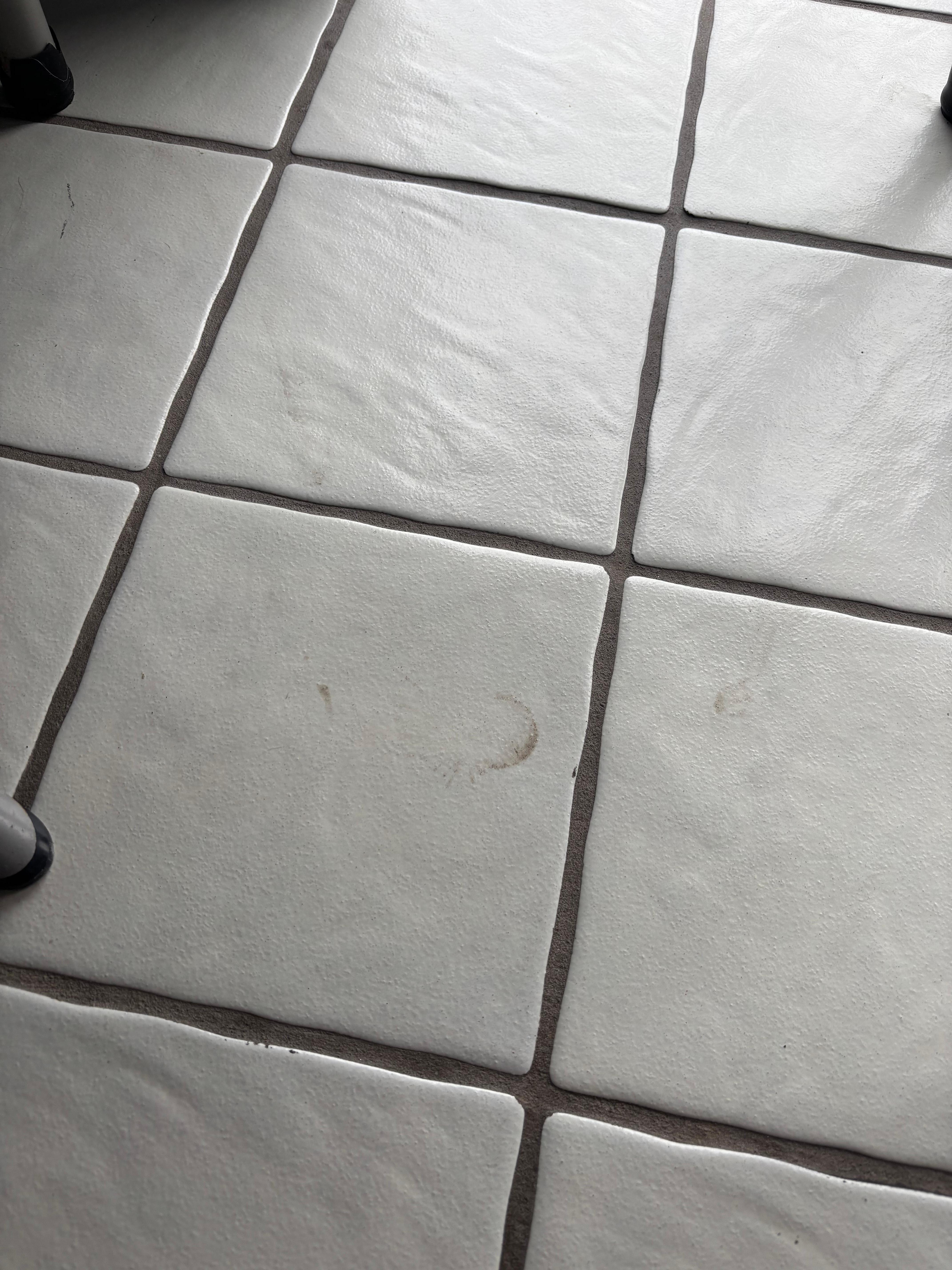 The dirty floor pics were just to prove that there was no way they could have mopped.