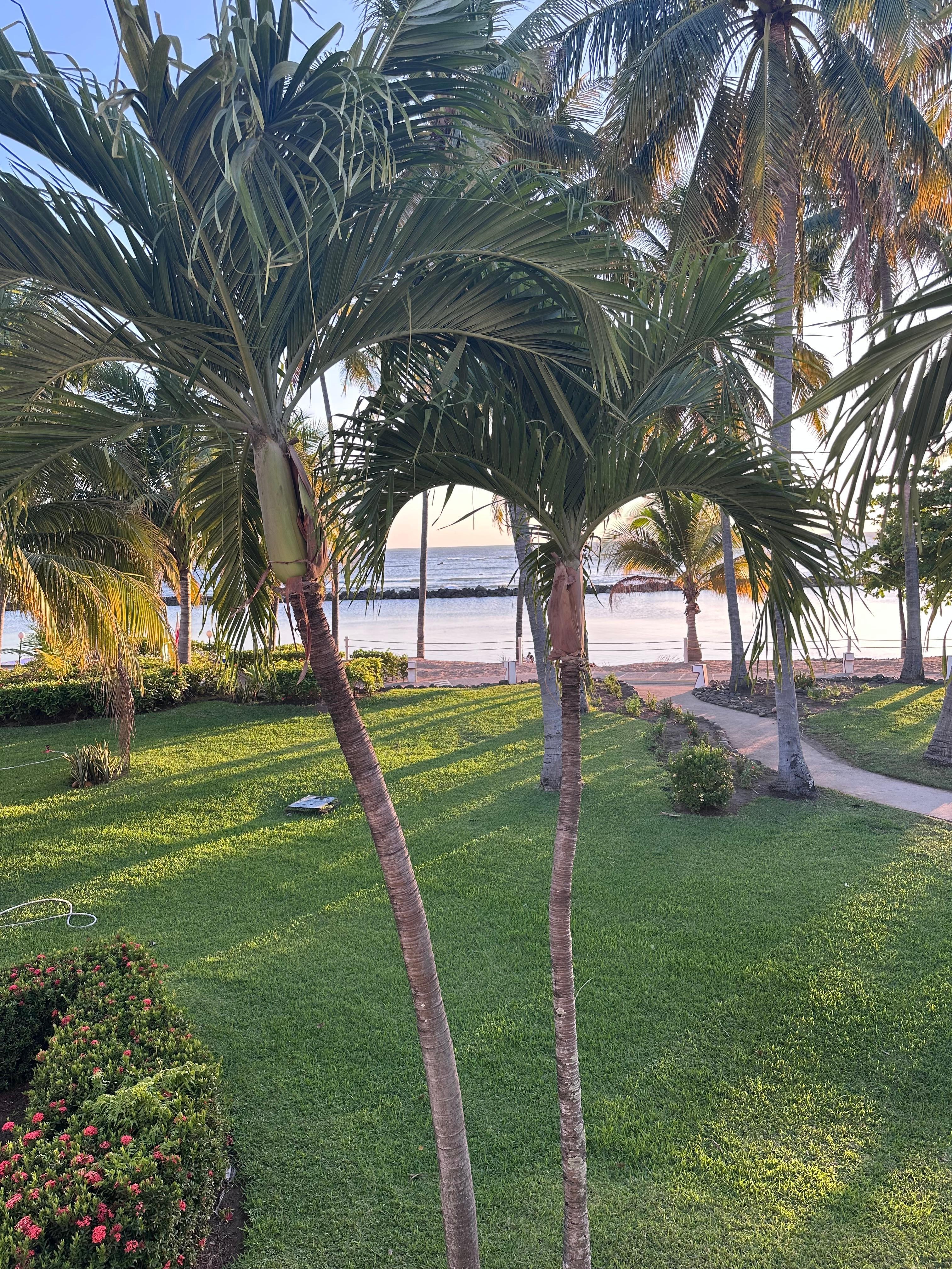 View outside of our room. 