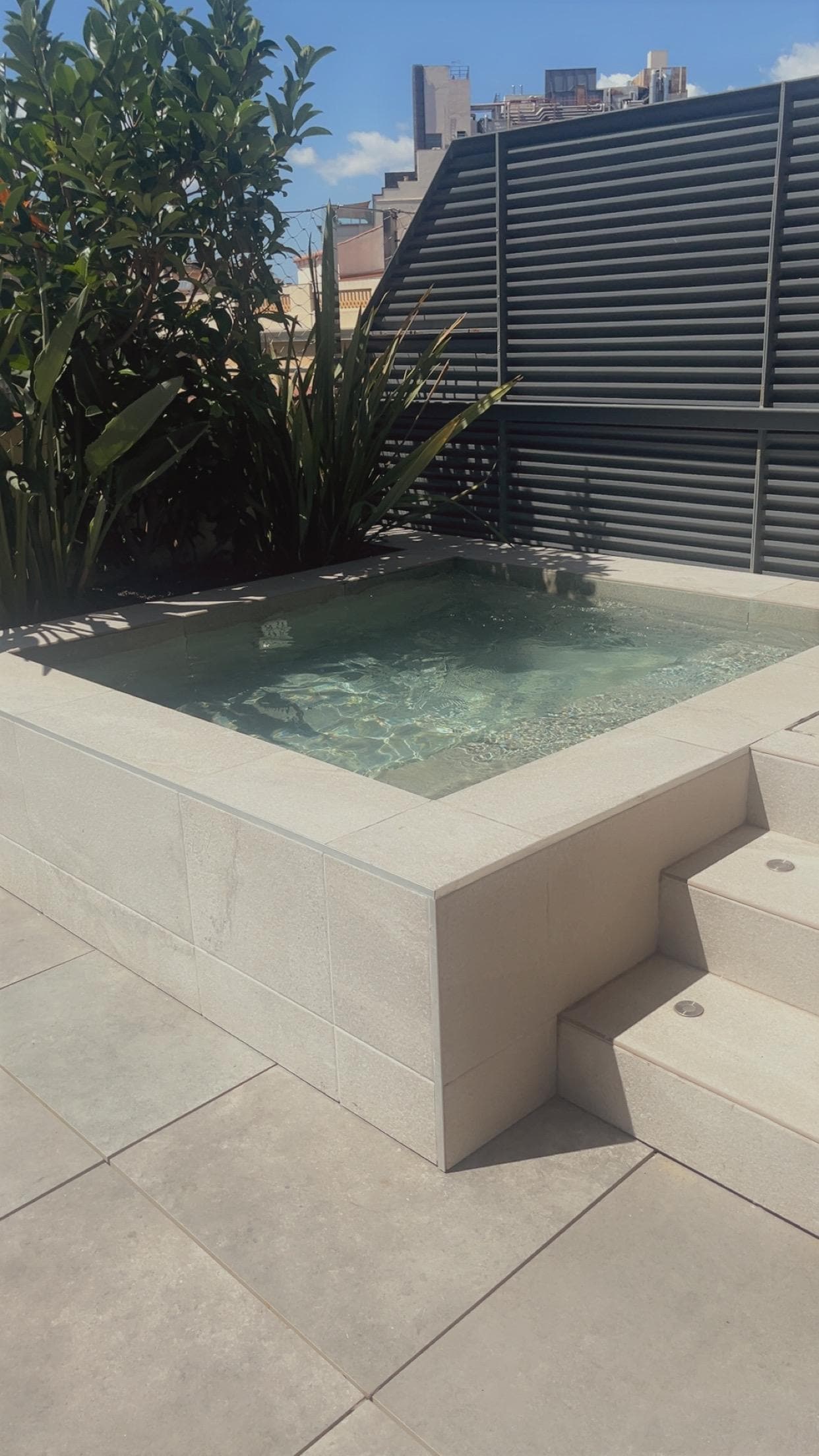 Deluxe room with outdoor mini pool