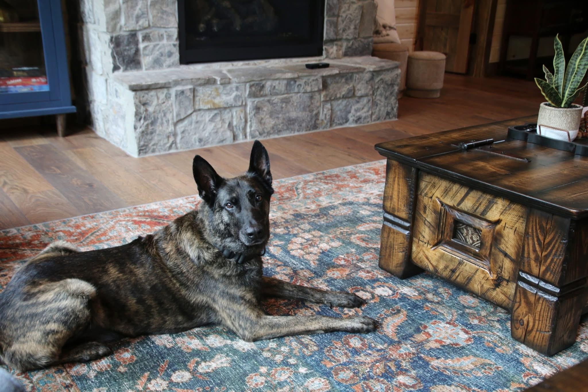 Loved that this cabin is pet friendly and I was able to bring my dog on our vacation. 