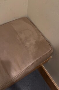 Entry sitting are spotted