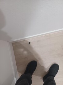 The large, dead bug Trevor left in front of my rm.
