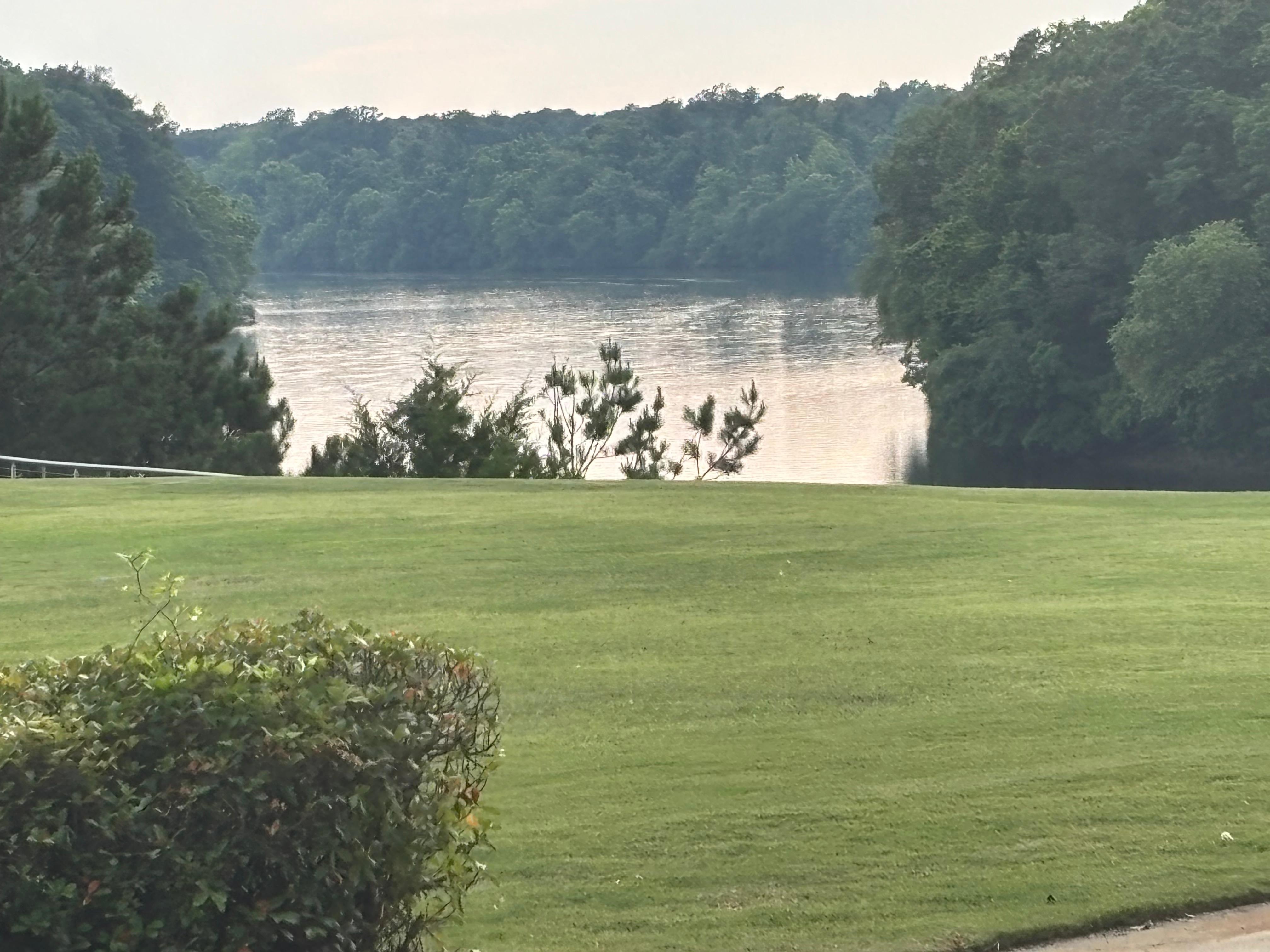 Grounds