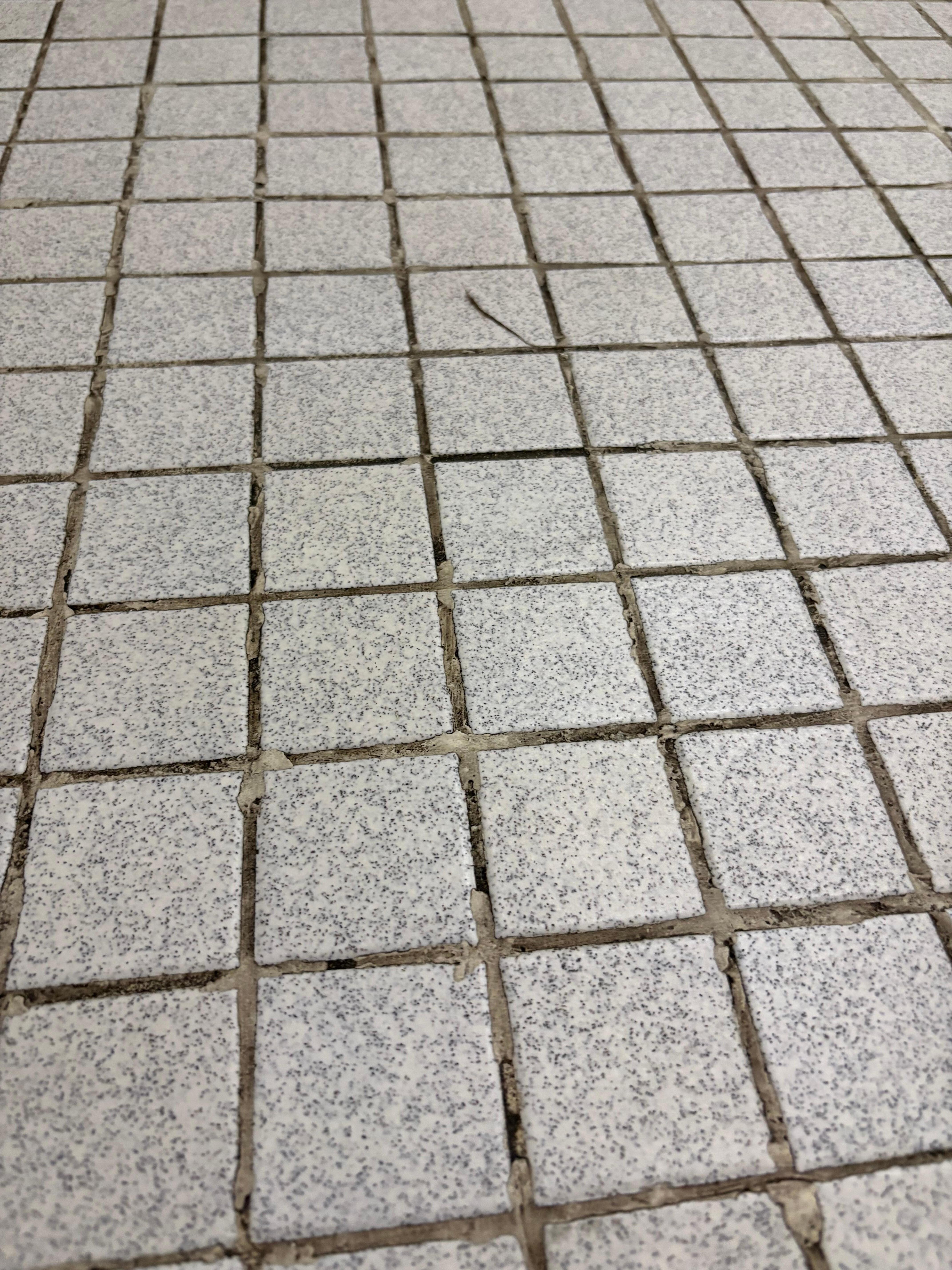 Hair on bathroom floor (this wasn’t only one found)