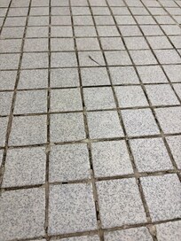 Hair on bathroom floor (this wasn’t only one found)